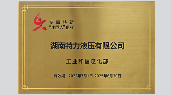 國家級(jí)專精特新“小巨人”企業(yè)